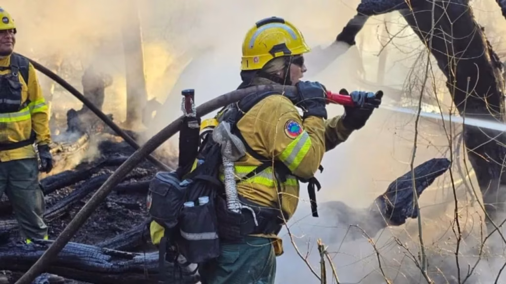 Ya son más de 50 las hectáreas arrasadas por el incendio forestal en Cafayate