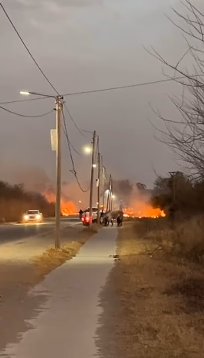 Sábado caótico por el Zonda en Salta: incendios, voladuras y destrozos